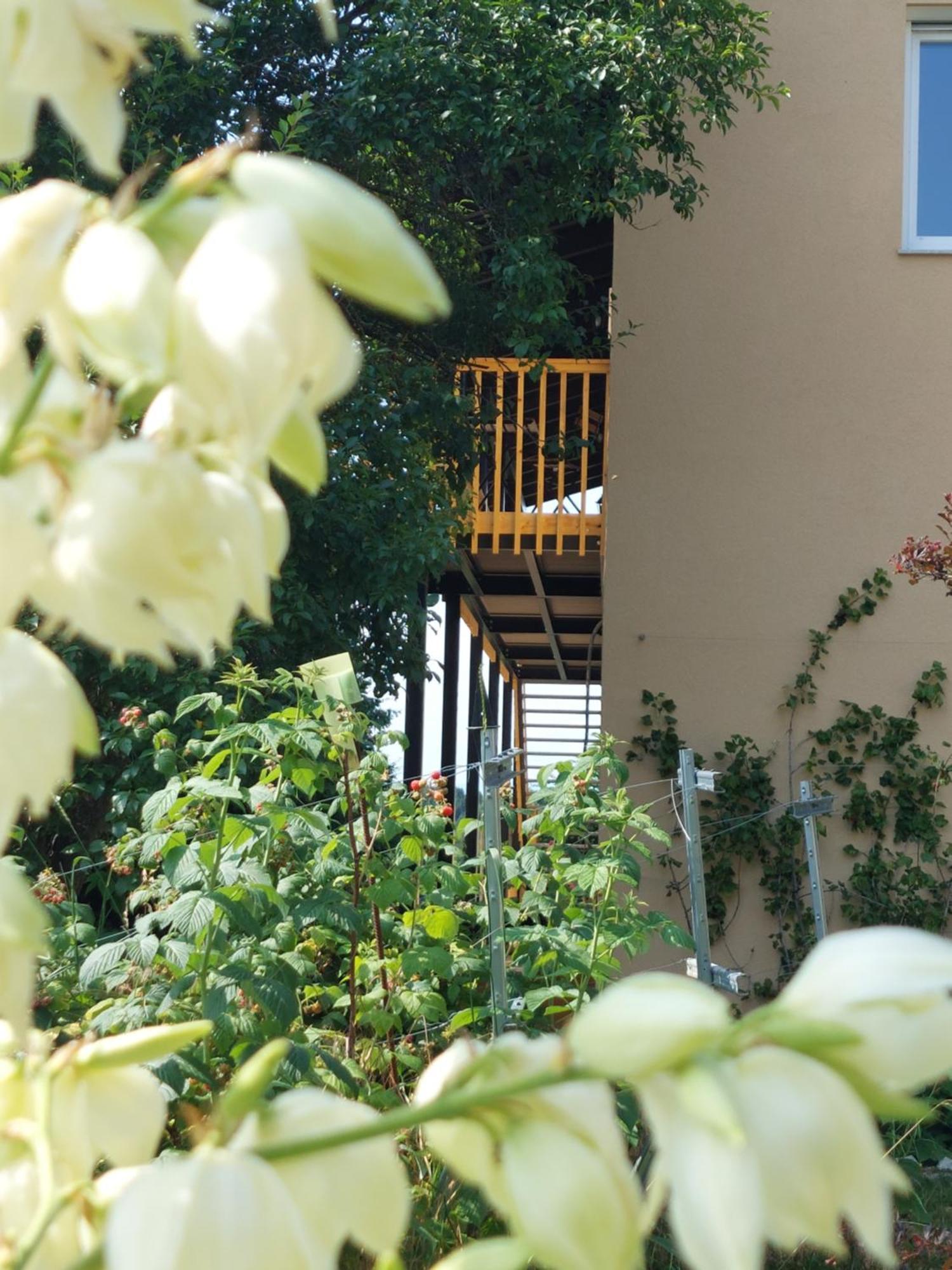 Beim Bergjosl Apartment Kirchbach in Steiermark Exterior photo
